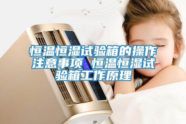 恒溫恒濕試驗(yàn)箱的操作注意事項 恒溫恒濕試驗(yàn)箱工作原理