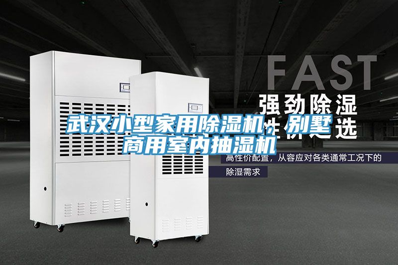 武漢小型家用除濕機(jī)，別墅商用室內(nèi)抽濕機(jī)
