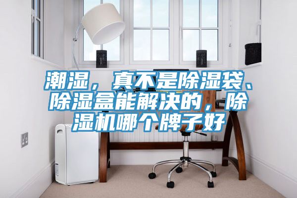 潮濕，真不是除濕袋、除濕盒能解決的，除濕機(jī)哪個(gè)牌子好