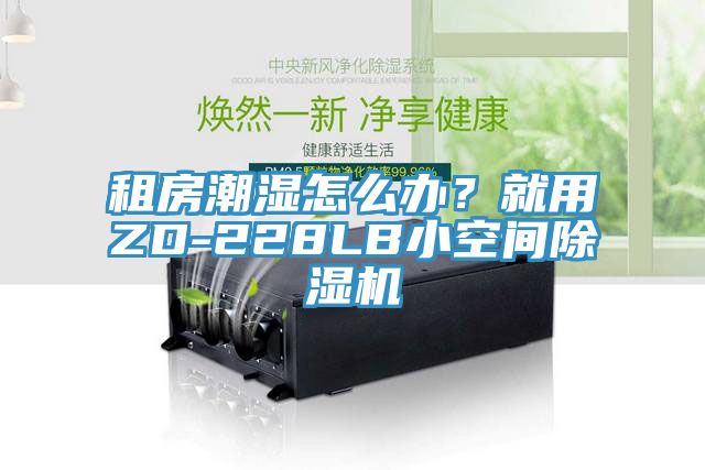 租房潮濕怎么辦？就用ZD-228LB小空間除濕機