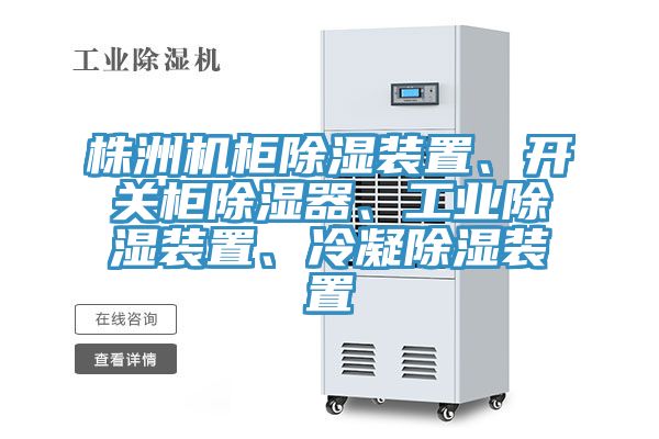 株洲機(jī)柜除濕裝置、開(kāi)關(guān)柜除濕器、工業(yè)除濕裝置、冷凝除濕裝置