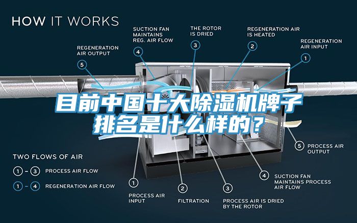 目前中國十大除濕機牌子排名是什么樣的？