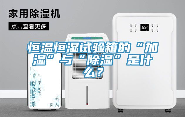 恒溫恒濕試驗箱的“加濕”與“除濕”是什么？