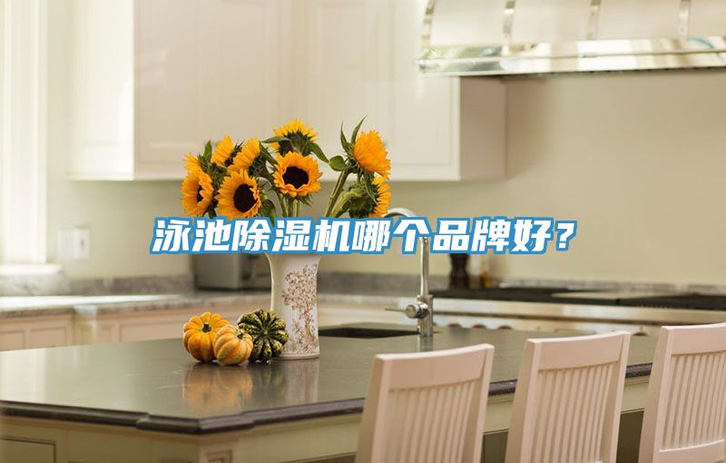 泳池除濕機(jī)哪個品牌好？
