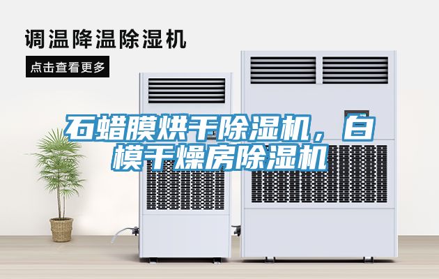 石蠟?zāi)ず娓沙凉駲C(jī)，白模干燥房除濕機(jī)
