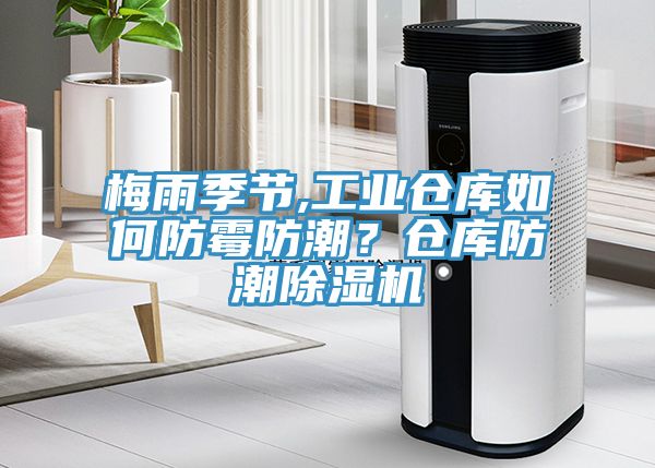 梅雨季節(jié),工業(yè)倉(cāng)庫(kù)如何防霉防潮？倉(cāng)庫(kù)防潮除濕機(jī)