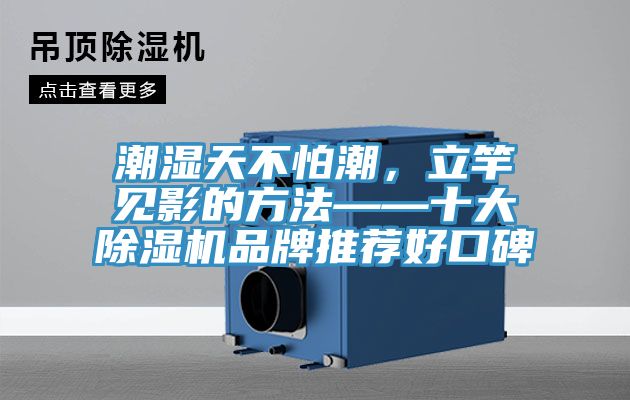 潮濕天不怕潮，立竿見影的方法——十大除濕機(jī)品牌推薦好口碑