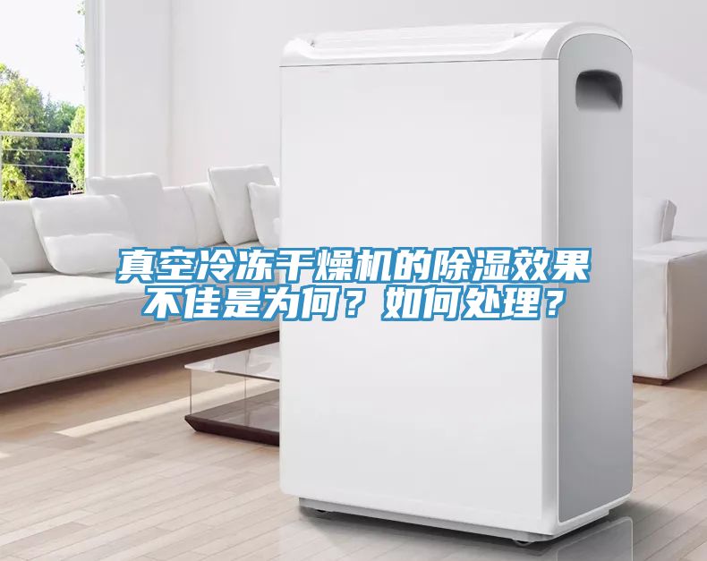 真空冷凍干燥機的除濕效果不佳是為何？如何處理？