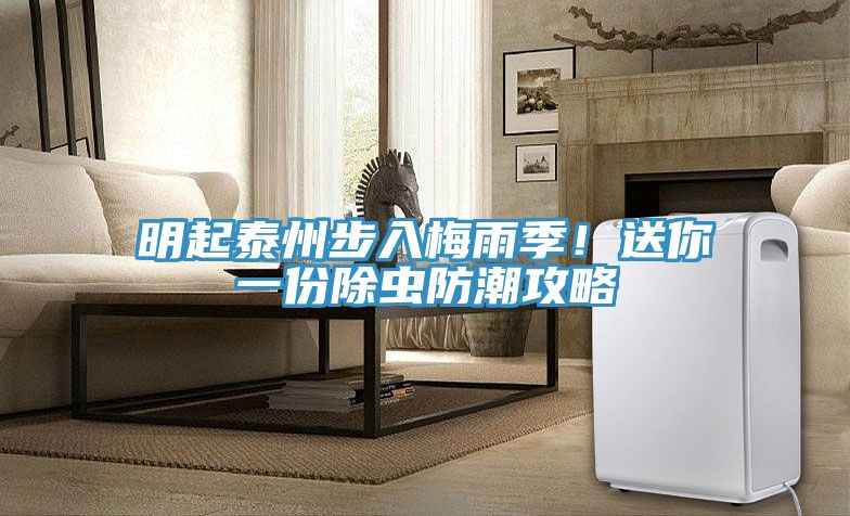 明起泰州步入梅雨季！送你一份除蟲防潮攻略