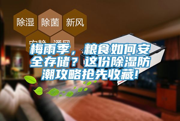 梅雨季，糧食如何安全存儲(chǔ)？這份除濕防潮攻略搶先收藏!