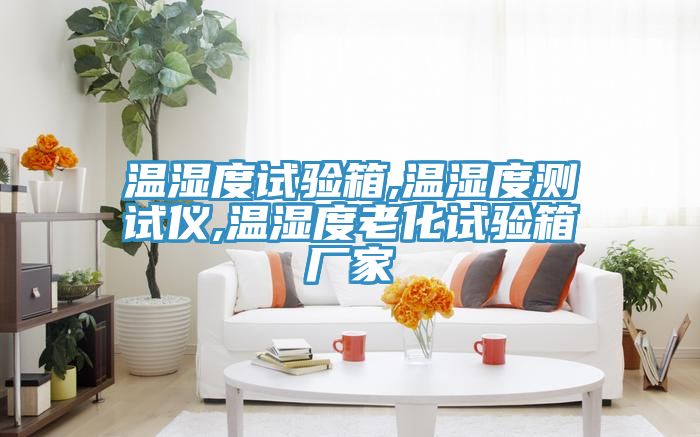 溫濕度試驗(yàn)箱,溫濕度測(cè)試儀,溫濕度老化試驗(yàn)箱廠家