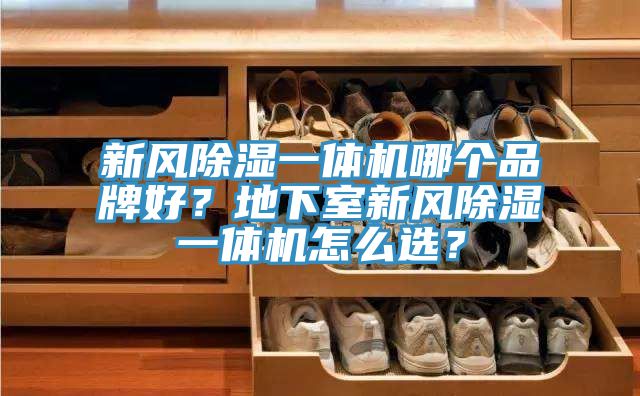新風除濕一體機哪個品牌好？地下室新風除濕一體機怎么選？