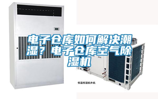 電子倉庫如何解決潮濕？電子倉庫空氣除濕機(jī)