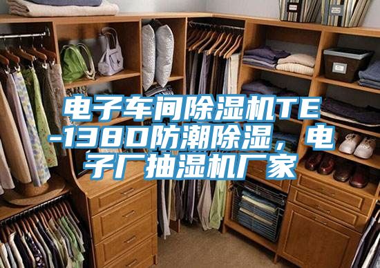 電子車間除濕機TE-138D防潮除濕，電子廠抽濕機廠家