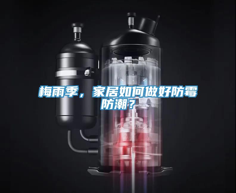 梅雨季，家居如何做好防霉防潮？
