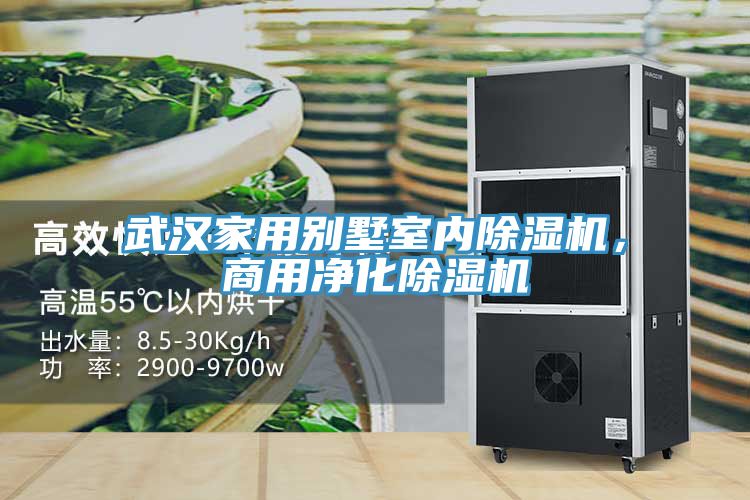 武漢家用別墅室內(nèi)除濕機(jī)，商用凈化除濕機(jī)