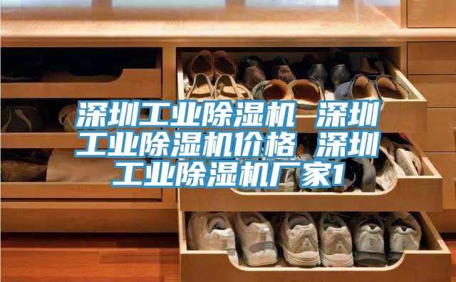 深圳工業(yè)除濕機(jī) 深圳工業(yè)除濕機(jī)價格 深圳工業(yè)除濕機(jī)廠家1