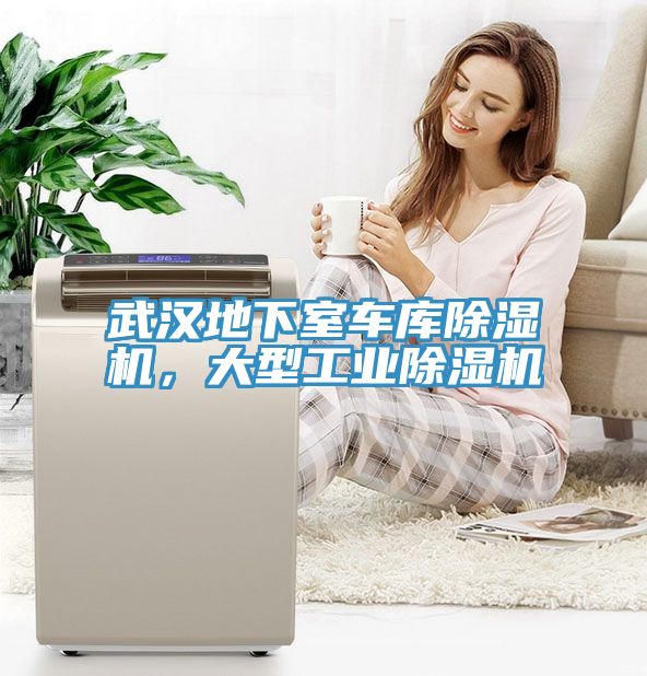 武漢地下室車庫除濕機(jī)，大型工業(yè)除濕機(jī)