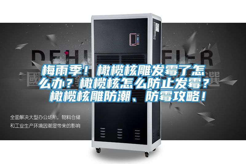 梅雨季！橄欖核雕發(fā)霉了怎么辦？橄欖核怎么防止發(fā)霉？ 橄欖核雕防潮、防霉攻略！