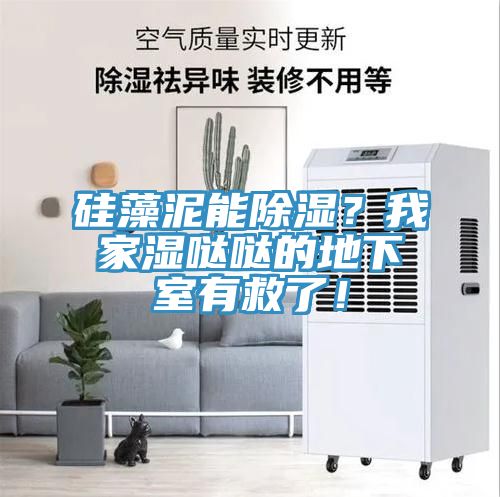 硅藻泥能除濕？我家濕噠噠的地下室有救了！