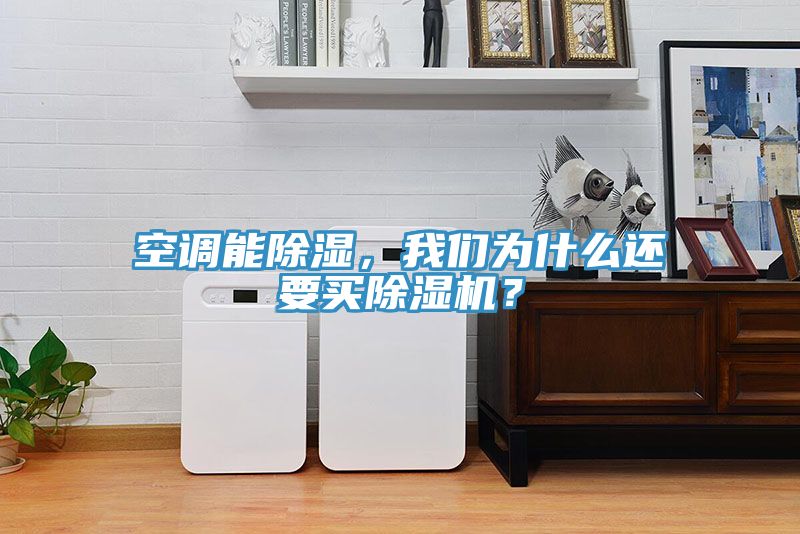 空調(diào)能除濕，我們?yōu)槭裁催€要買除濕機(jī)？