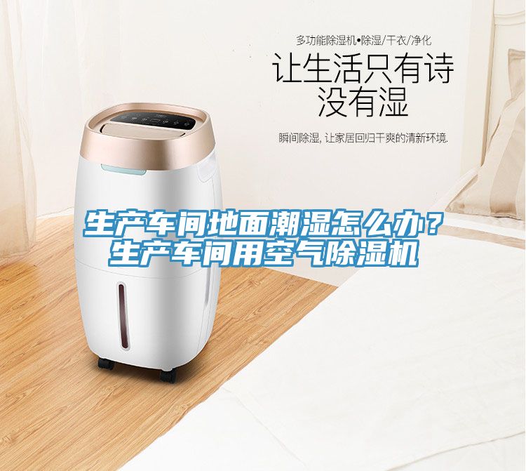 生產(chǎn)車間地面潮濕怎么辦？生產(chǎn)車間用空氣除濕機