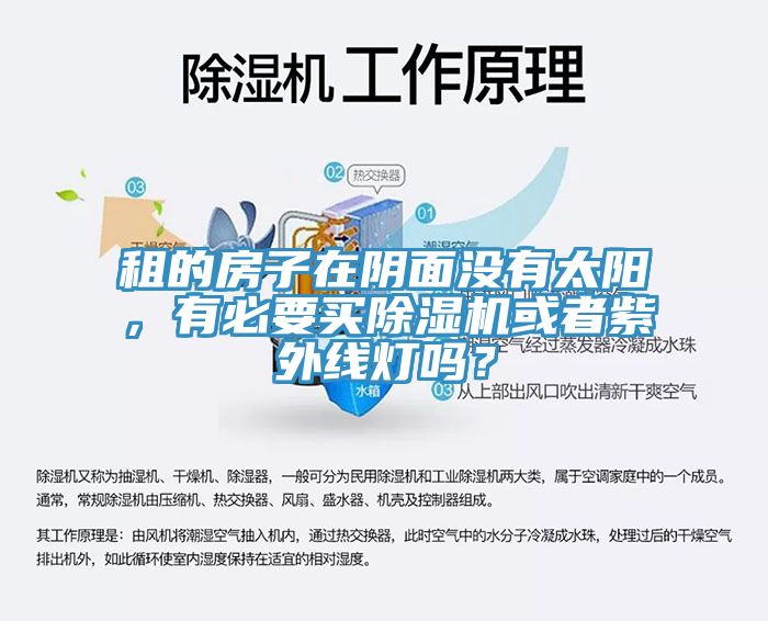 租的房子在陰面沒有太陽，有必要買除濕機或者紫外線燈嗎？
