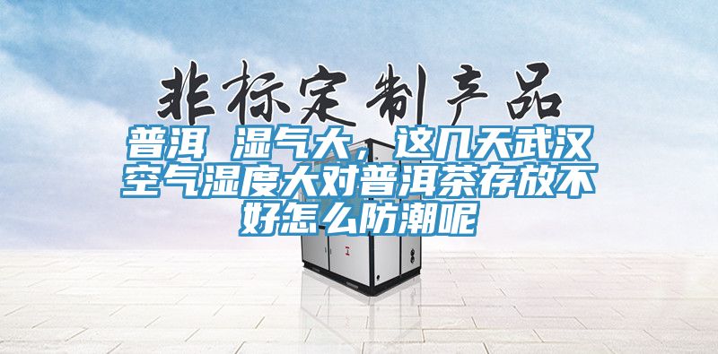 普洱 濕氣大，這幾天武漢空氣濕度大對(duì)普洱茶存放不好怎么防潮呢