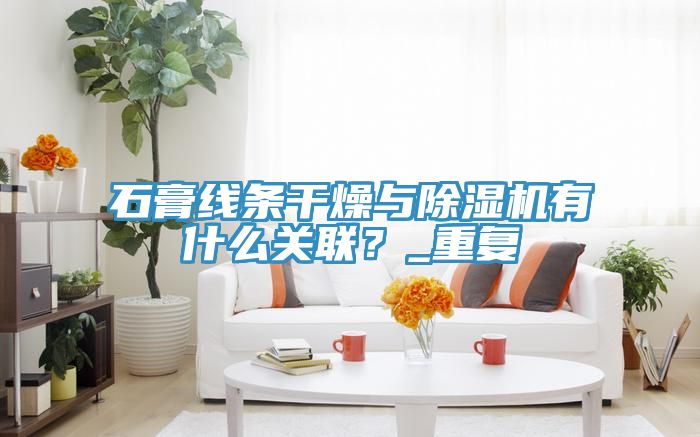 石膏線條干燥與除濕機(jī)有什么關(guān)聯(lián)？_重復(fù)