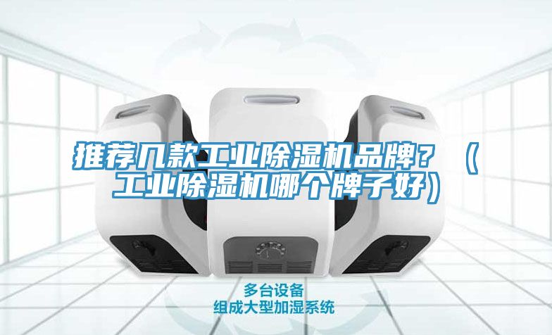 推薦幾款工業(yè)除濕機品牌？（工業(yè)除濕機哪個牌子好）