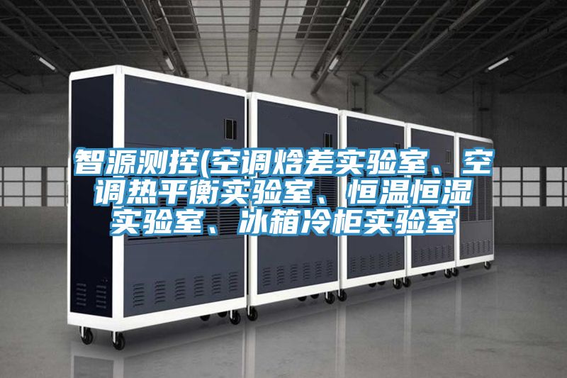 智源測控(空調(diào)焓差實(shí)驗(yàn)室、空調(diào)熱平衡實(shí)驗(yàn)室、恒溫恒濕實(shí)驗(yàn)室、冰箱冷柜實(shí)驗(yàn)室