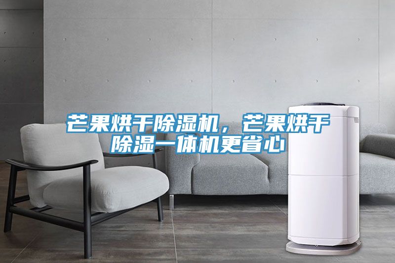 芒果烘干除濕機(jī)，芒果烘干除濕一體機(jī)更省心