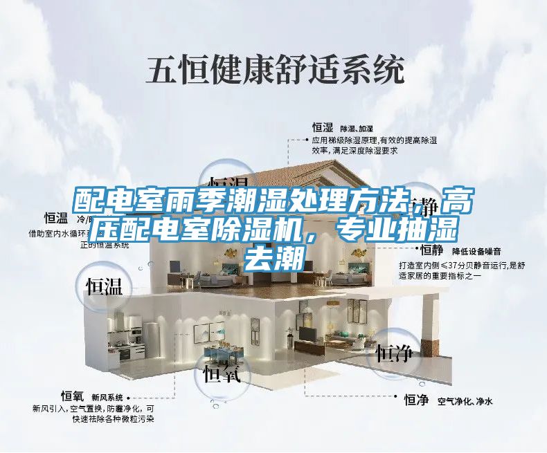 配電室雨季潮濕處理方法，高壓配電室除濕機，專業(yè)抽濕去潮
