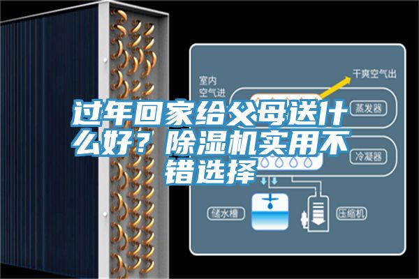 過年回家給父母送什么好？除濕機實用不錯選擇