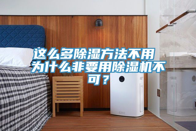 這么多除濕方法不用 為什么非要用除濕機(jī)不可？