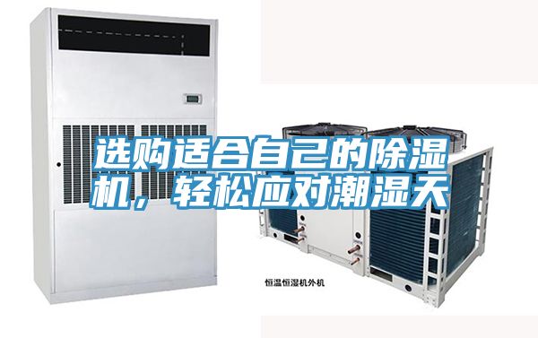 選購適合自己的除濕機(jī)，輕松應(yīng)對潮濕天
