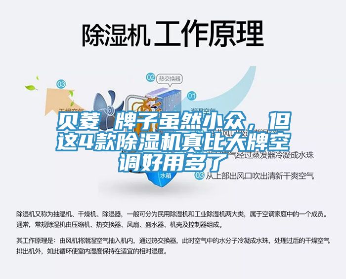 貝菱 牌子雖然小眾，但這4款除濕機(jī)真比大牌空調(diào)好用多了