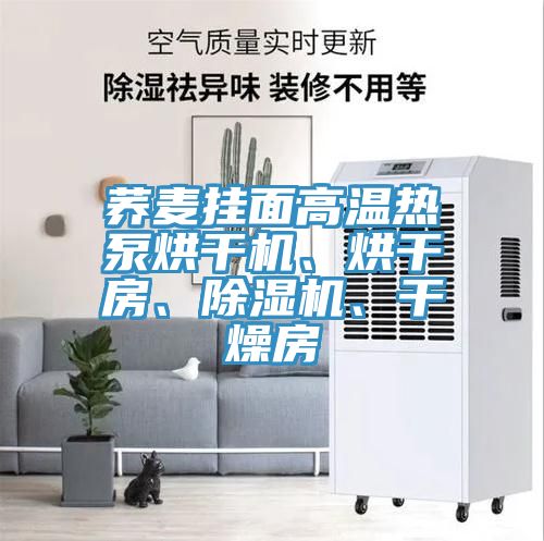 蕎麥掛面高溫?zé)岜煤娓蓹C、烘干房、除濕機、干燥房