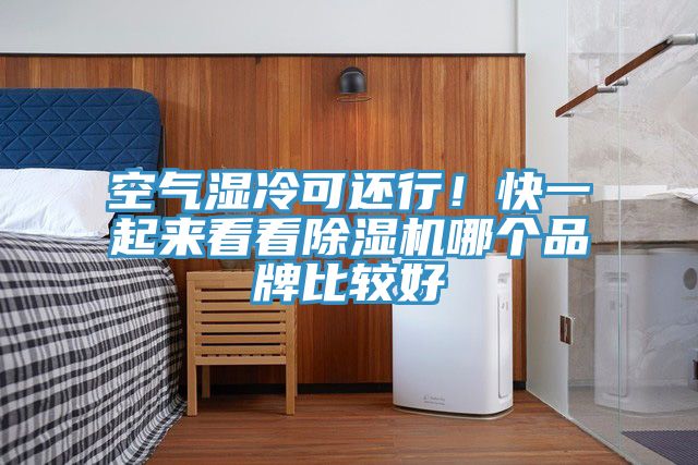 空氣濕冷可還行！快一起來看看除濕機(jī)哪個(gè)品牌比較好