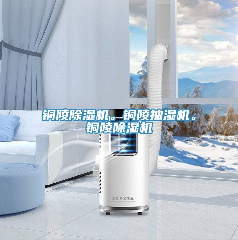 銅陵除濕機。銅陵抽濕機。銅陵除濕機