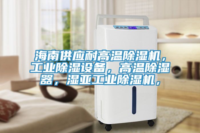 海南供應耐高溫除濕機，工業(yè)除濕設備，高溫除濕器，濕亞工業(yè)除濕機，