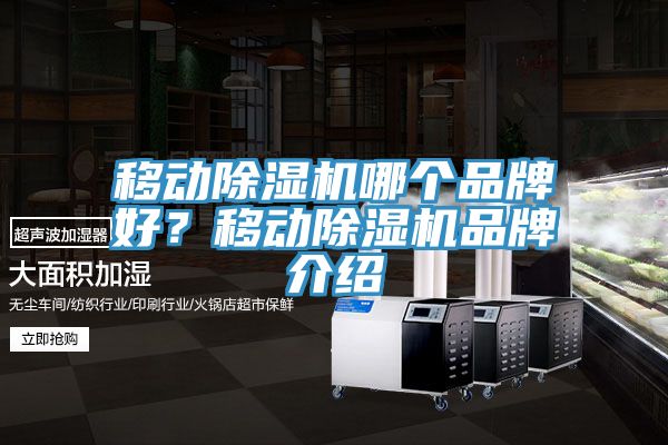 移動除濕機(jī)哪個(gè)品牌好？移動除濕機(jī)品牌介紹