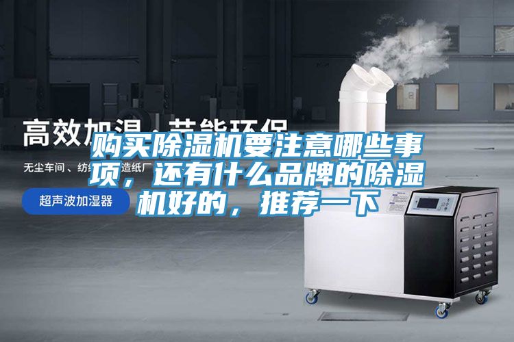 購買除濕機(jī)要注意哪些事項(xiàng)，還有什么品牌的除濕機(jī)好的，推薦一下