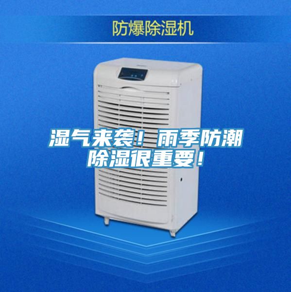 濕氣來襲！雨季防潮除濕很重要！