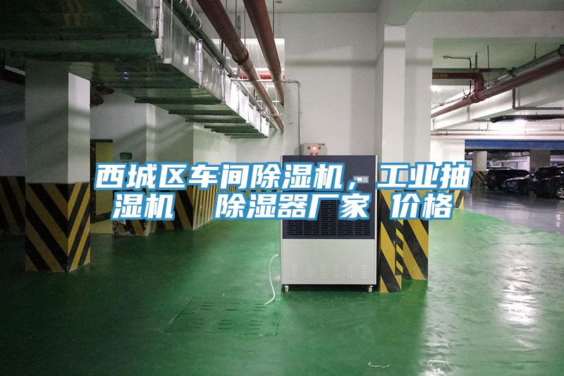 西城區(qū)車間除濕機，工業(yè)抽濕機  除濕器廠家 價格
