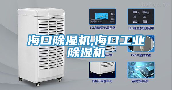 ?？诔凉駲C(jī),海口工業(yè)除濕機(jī)