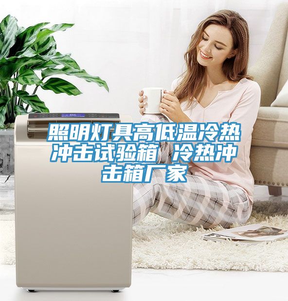照明燈具高低溫冷熱沖擊試驗(yàn)箱 冷熱沖擊箱廠(chǎng)家