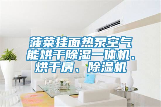 菠菜掛面熱泵空氣能烘干除濕一體機(jī)、烘干房、除濕機(jī)