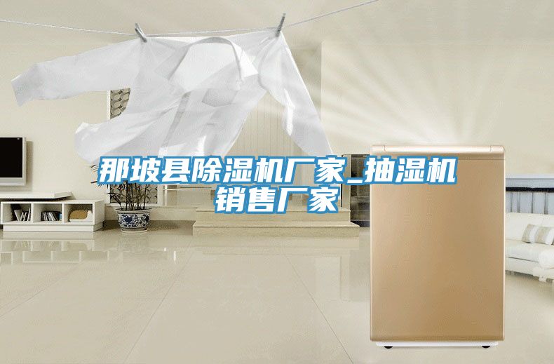那坡縣除濕機(jī)廠(chǎng)家_抽濕機(jī)銷(xiāo)售廠(chǎng)家