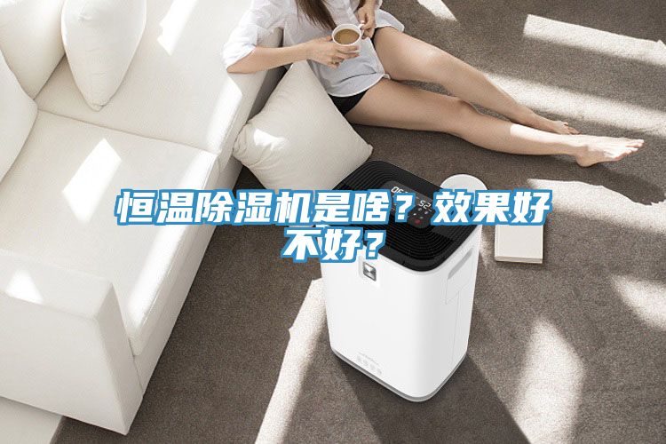 恒溫除濕機(jī)是啥？效果好不好？